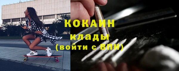 эйфоретик Богданович