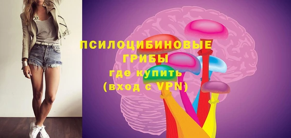 гидропоника Богородск
