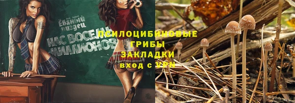 гидропоника Богородск