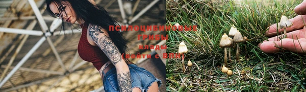 mdma Каменск-Шахтинский