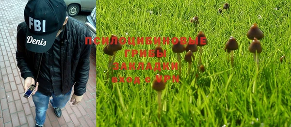 эйфоретик Богданович