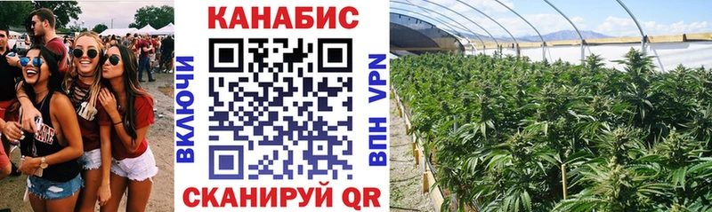 Бошки Шишки OG Kush  закладки  Ковдор 
